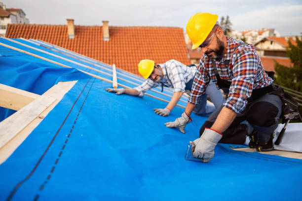 Best Roof Insulation Installation  in Fairplains, NC